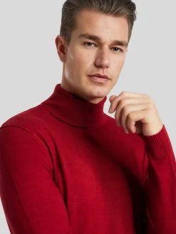 Rollkragenpullover im Regular Fit